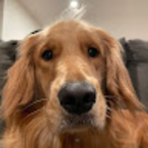 Meet your Posher, Sarah - Picture 1 of 1